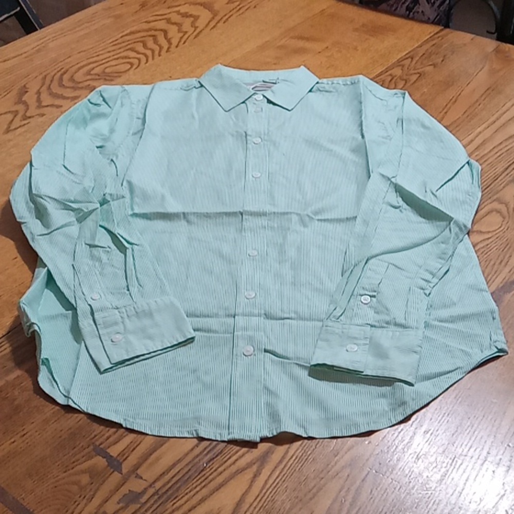 Everlane Women 2 Shirt Top Button Blouse SILKY RELAXED STRIPED JADE Collar NEW